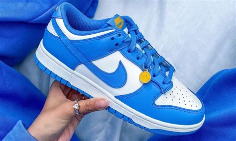 fallen nike dunk low klein aus|nike dunks high and low.